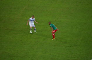 华体会官方登录入口-哈兰德绝杀背后的训练与VAR争议，哈兰德生涯